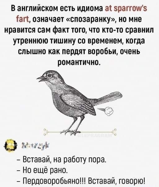 Чуток картинок 22.07.22