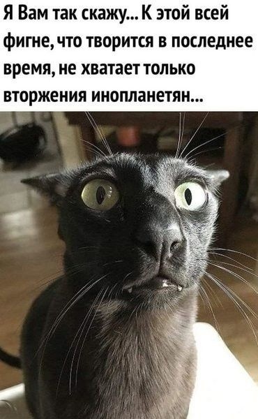 Так себе картинки 05.10.22