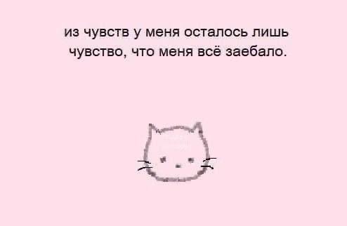 Немного мемчиков. Для взрослых. Часть 26