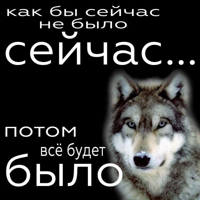 Картинки и мемы, всяко разно - 179