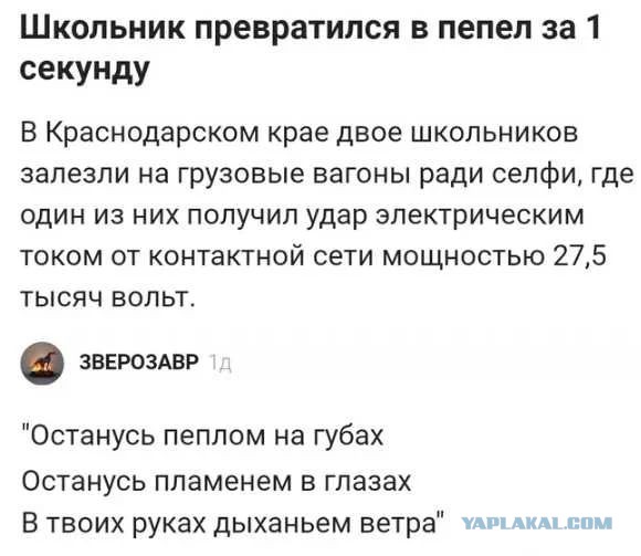 Чёрная тема: небольшая подборка с юмором на любителя