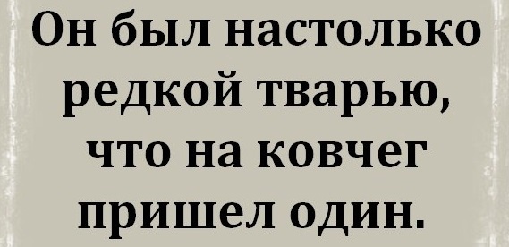 Тлидцать тли от 6 февраля
