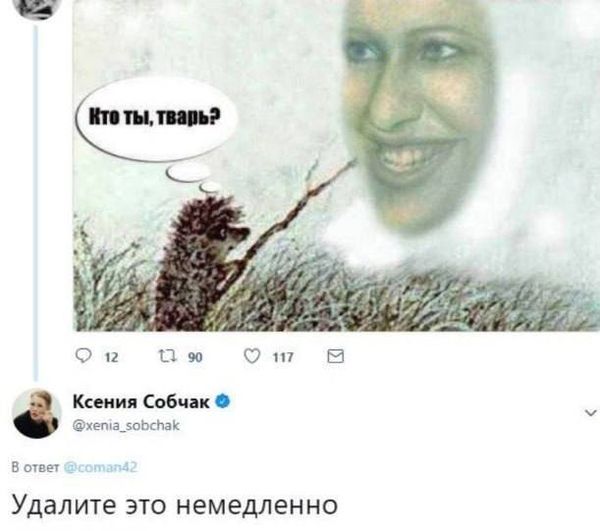 18845767.jpg
