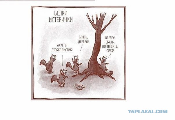 Минпросвещения России подготовило список патриотических песен для изучения в школах