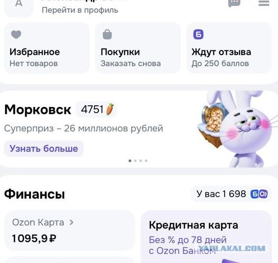 Итоги года с Озон.