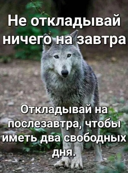В интернете все смелые