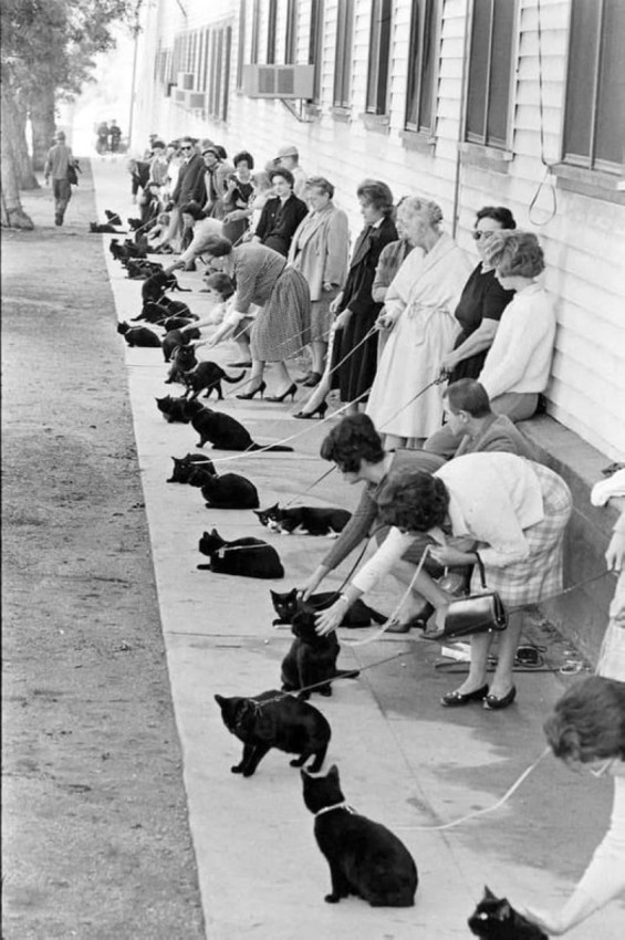 Картиночки на 18.02.2026