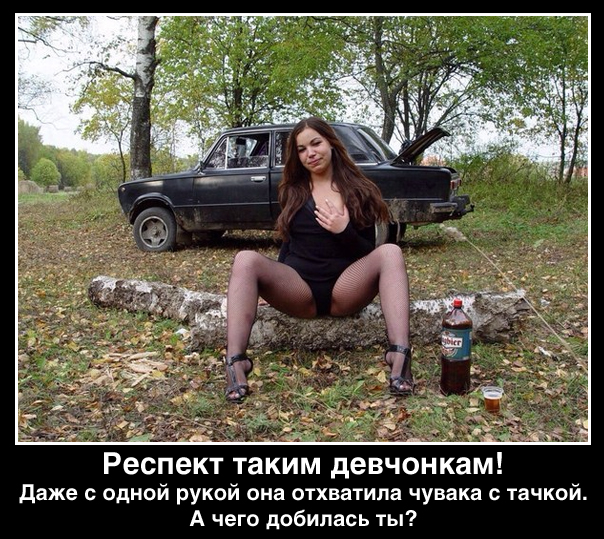 Вестник соцсетей