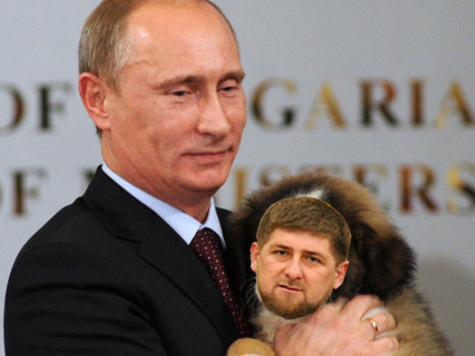 «Если бы не демократия»: моськи и овчарки Кадырова