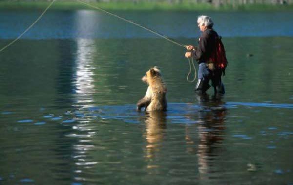 Подборка картинок 01.03.16