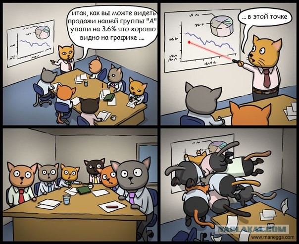 Лазерная указка и реакция животных на нее