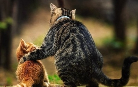 Подборка интересных и веселых картинок