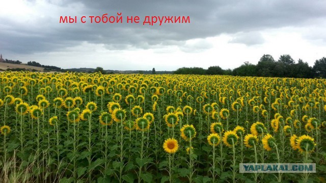 Подборка интересных и красивых фото