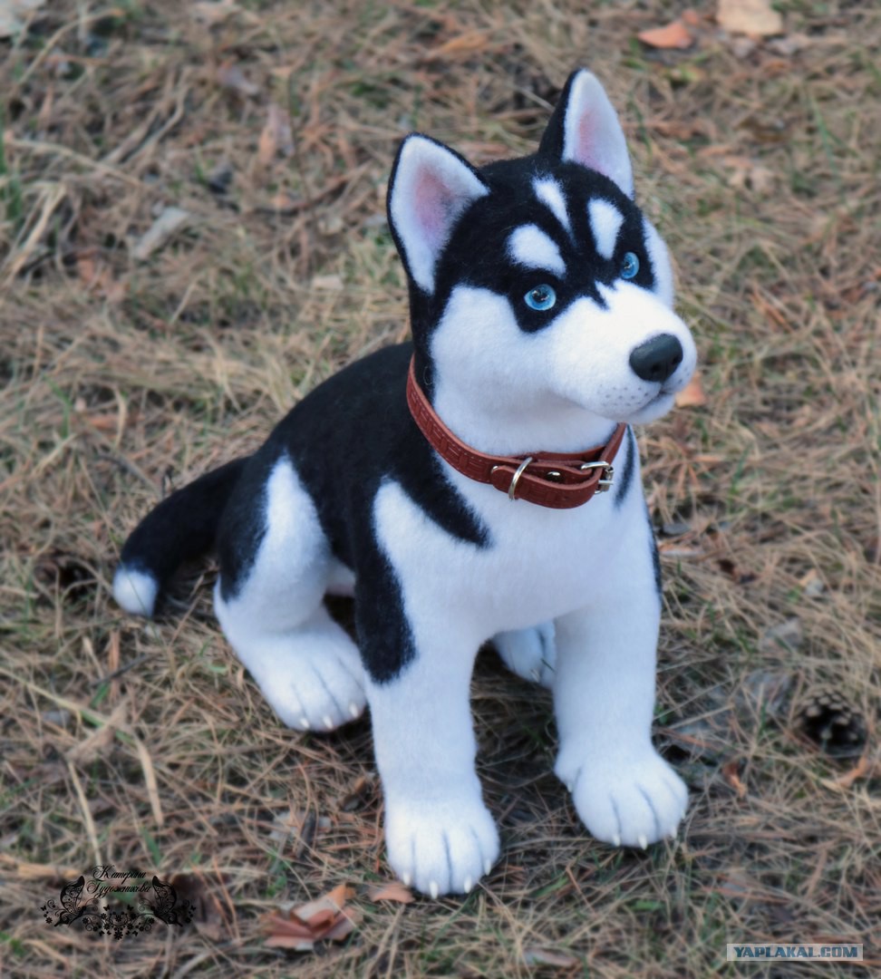 Купить Большую Мягкую Игрушку Собаку Хаски