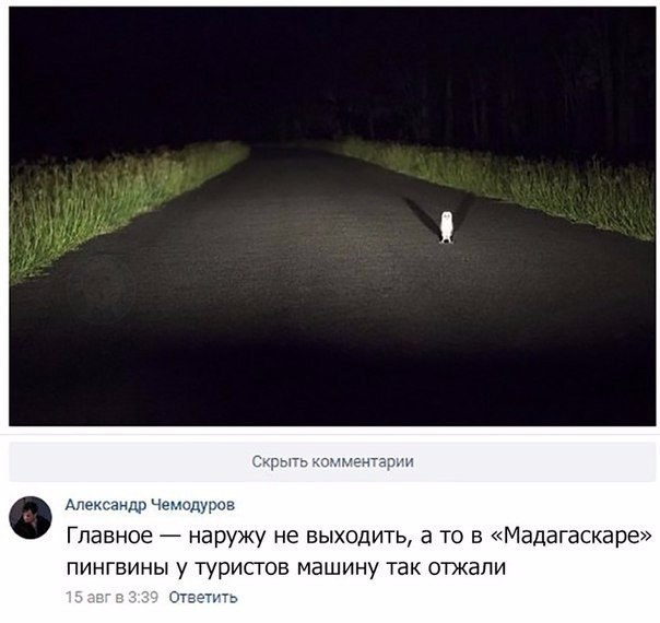 134 картинки для поднятия настроения!