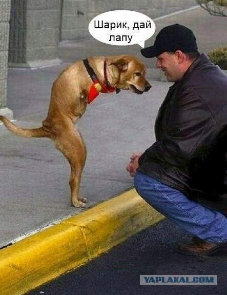 Тёмные силы желают веселья!