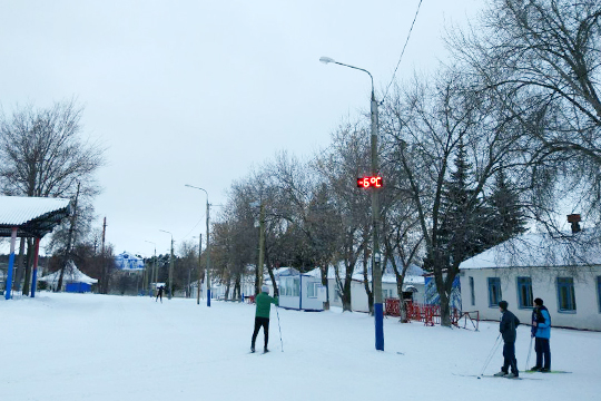 В лесу Нижнекамска зверски убили лыжницу