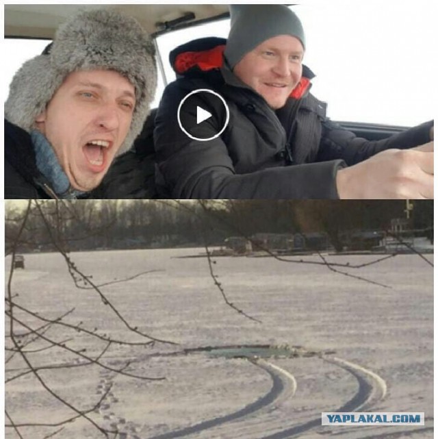 Автомобильный юмор легкий вечерний