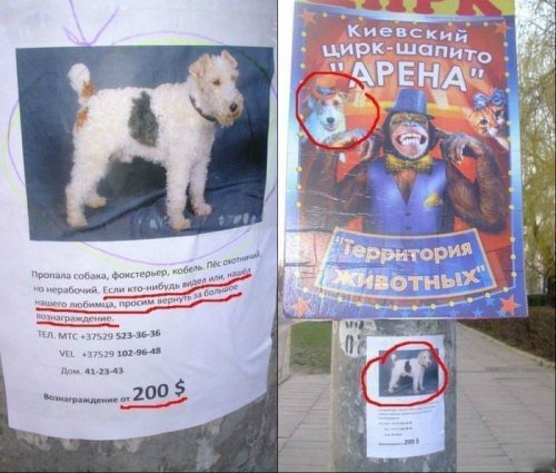 Картинки не для всех на сон грядущий.
