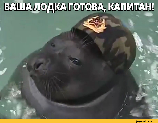 Скорость света преодолена!