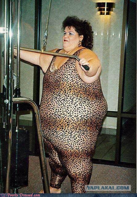 Улов из социальных сетей - леопарды!