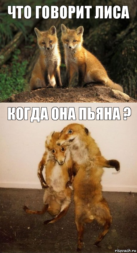 Немного картинок в этот четверг