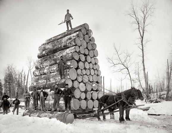 Интересные и редкие фотографии