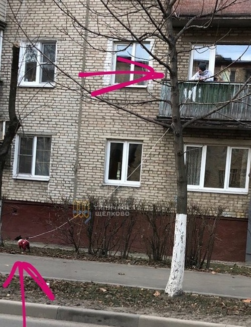 Подборка интересных и веселых картинок