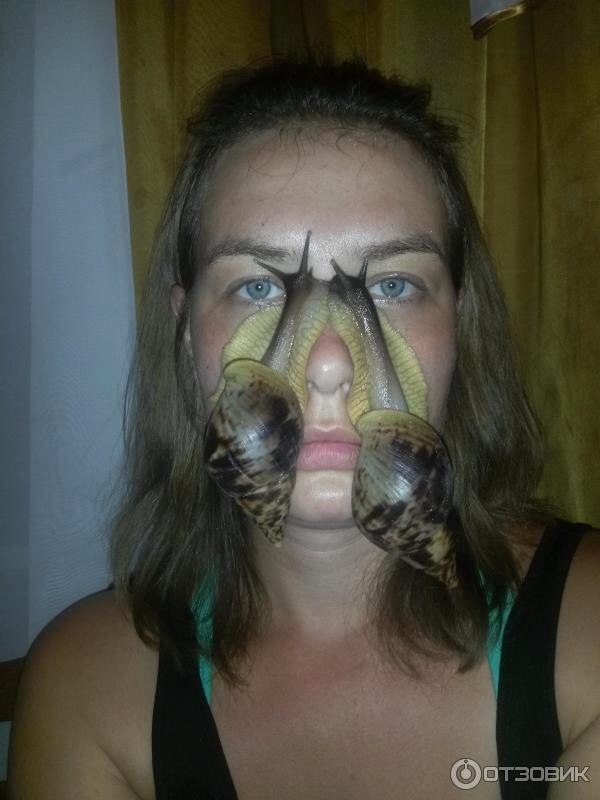 Скотсети и прочие интернеты 04.03.19