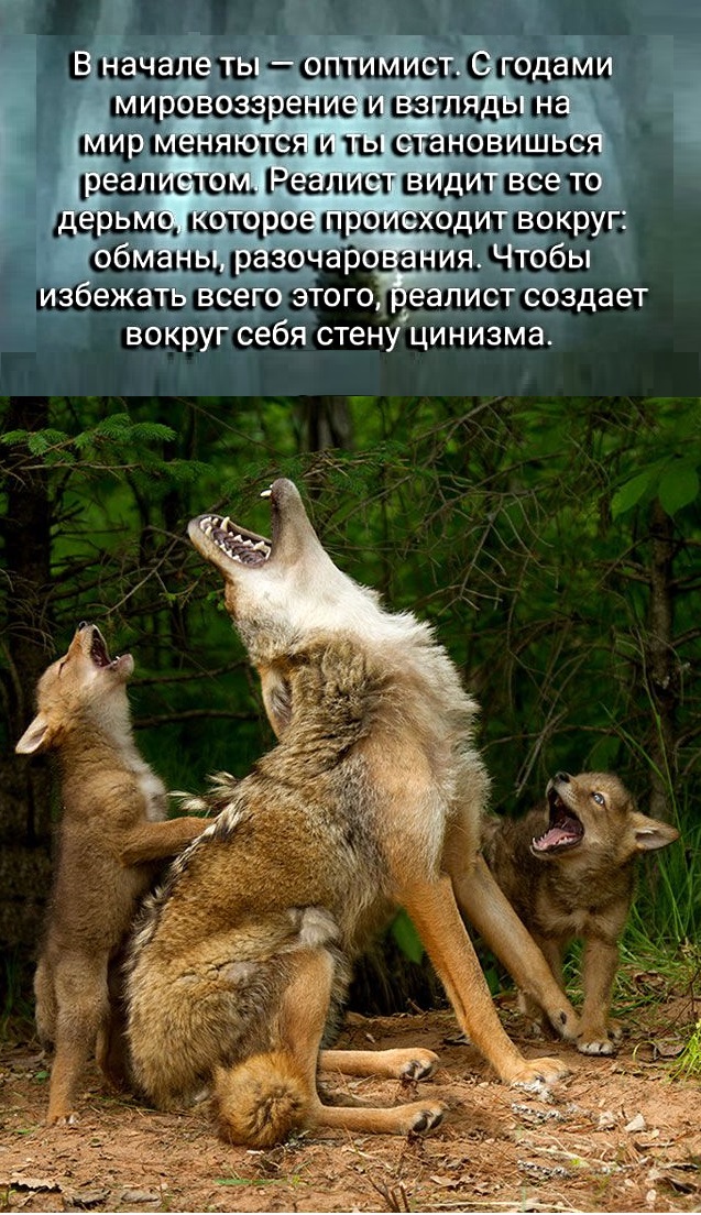Картинки с надписями и анекдоты