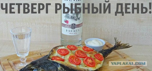 Почему я так любил обедать в советской столовой.
