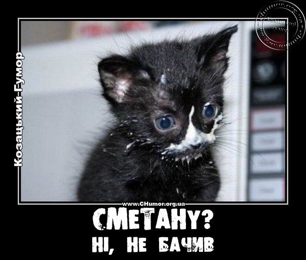 Де сметана ?!
