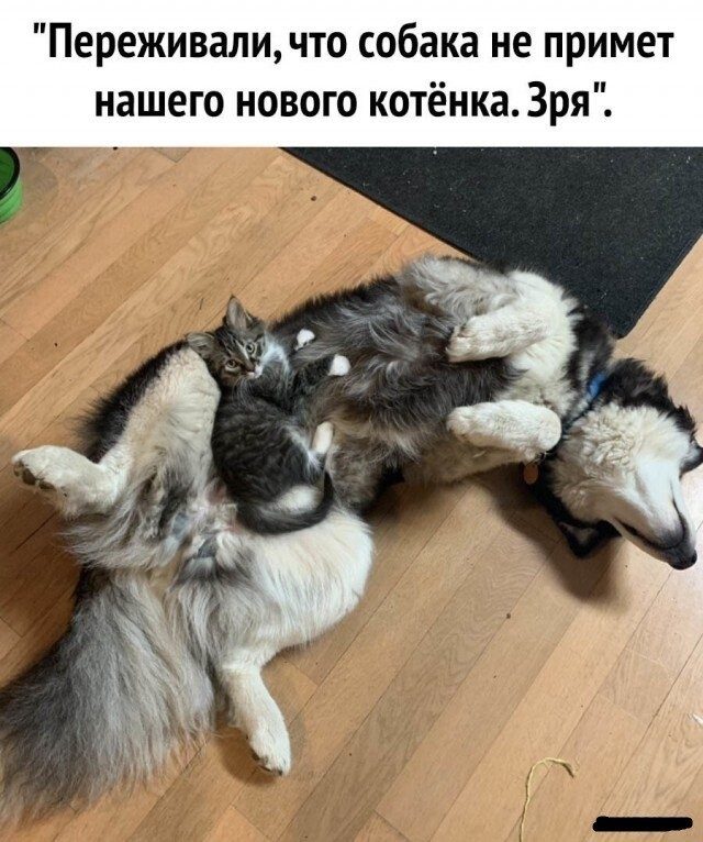 Немного картинок для настроения 09.07.20