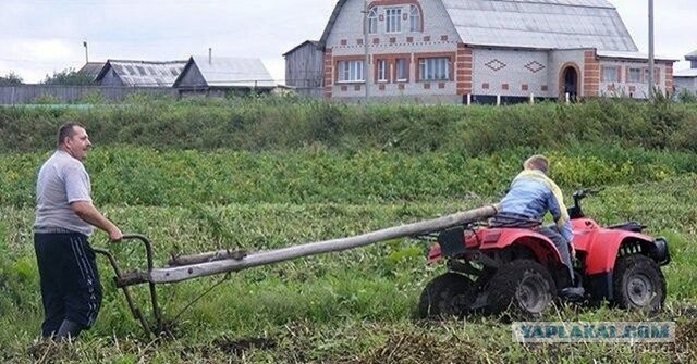 Голь на выдумку хитра