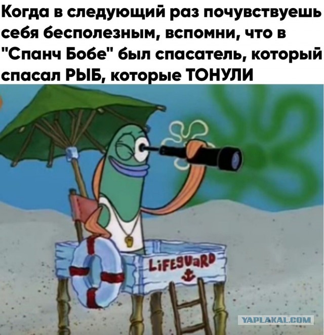 Так себе картинки 01.08.20