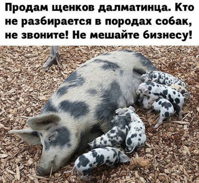 Бредзона 20.09.20