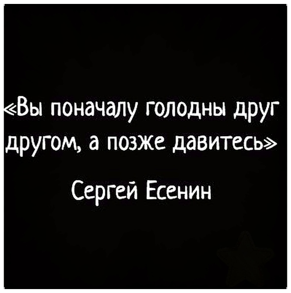 Забавные шутки, картинки и фразы из этих ваших интернетов