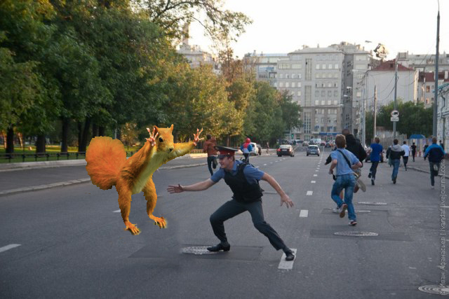Фотожаба: Белка как бы говорит нам...