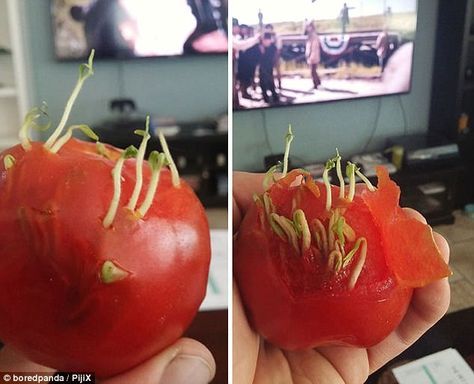 Фото от которых вам станет неприятно
