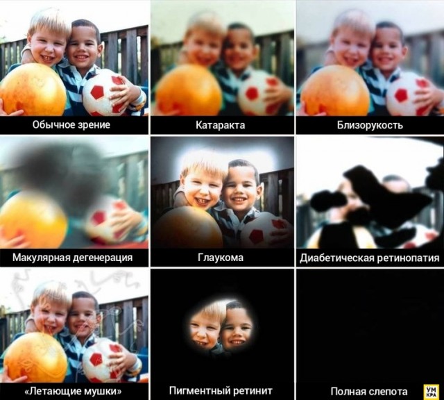 20 увлекательных фото, которые скрасят пару минут вашего времени и расскажут нечто новое