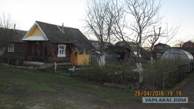 Дачное детство