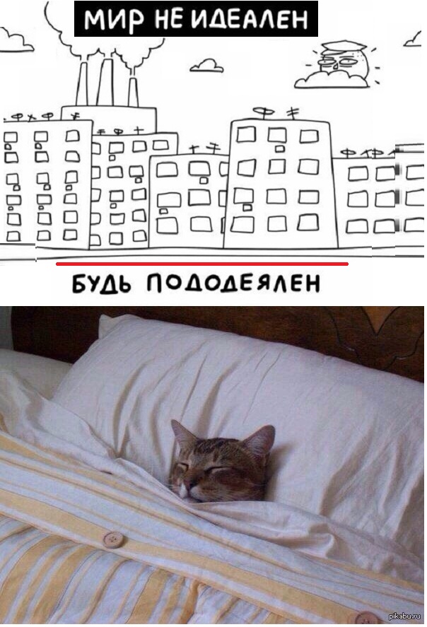 Картинки с котами и про котов