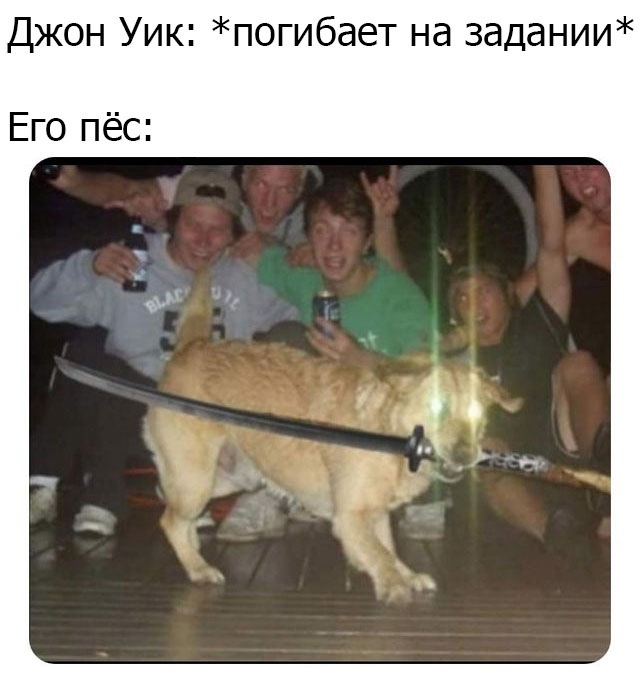 Весёлый полтишок 1.04
