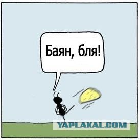 Динозавров засняли в подземной шахте