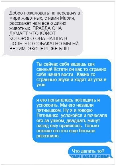 Это прикол?