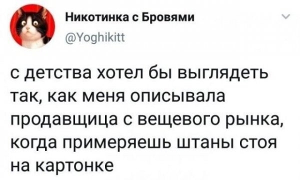 Картинки и мемы для настроения 024