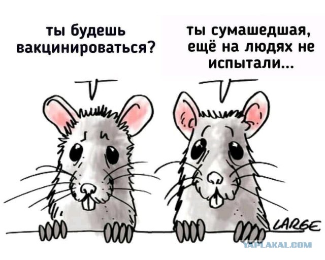 Начались испытания «Спутника V» на детях