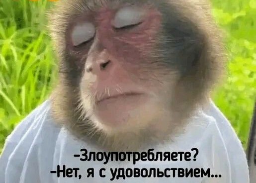 Картинки и мемы для настроения 26.08.2021
