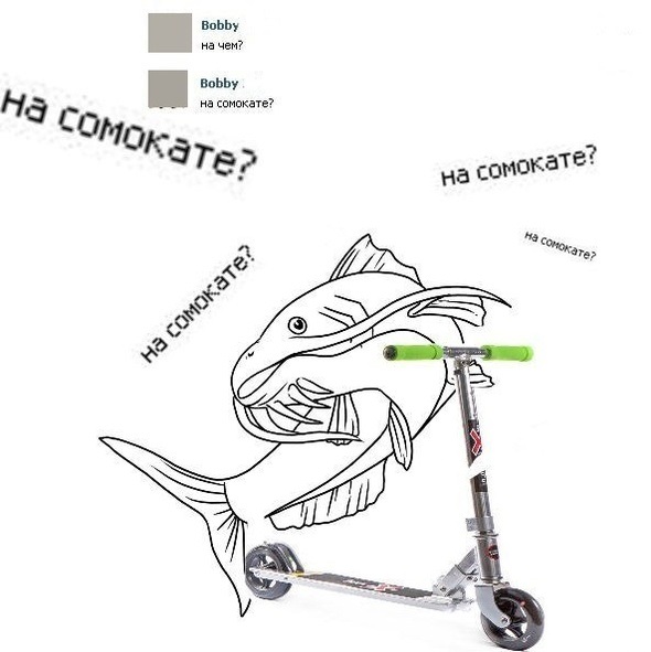 Истории про сома