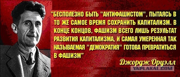 Вас тут никто не боится!